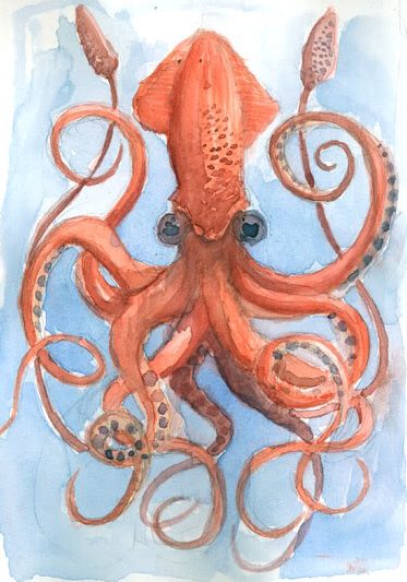 Goldman Sachs Vampire Squid picture